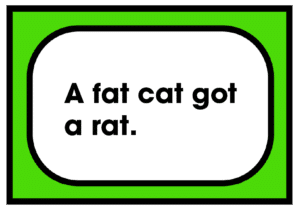 A fat cat got a rat