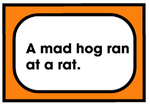 A mad hog ran at a rat