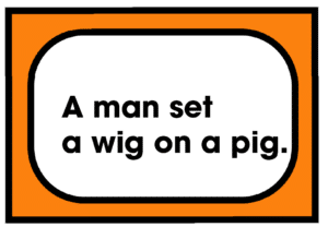 A man set a wig on a pig