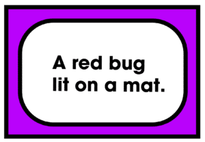 A red bug lit on a mat