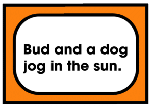 Bud and a dog jog in the sun