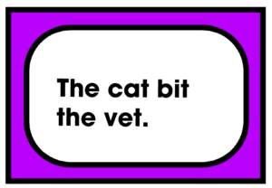 The cat bit the vet