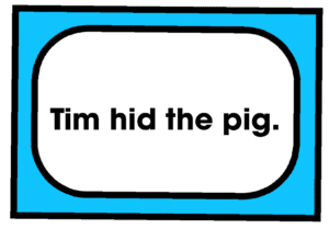 Tim hid the pig