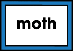moth