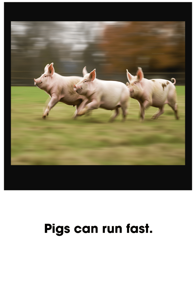 pigs run fast