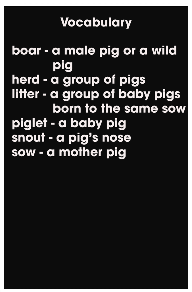 vocabulary